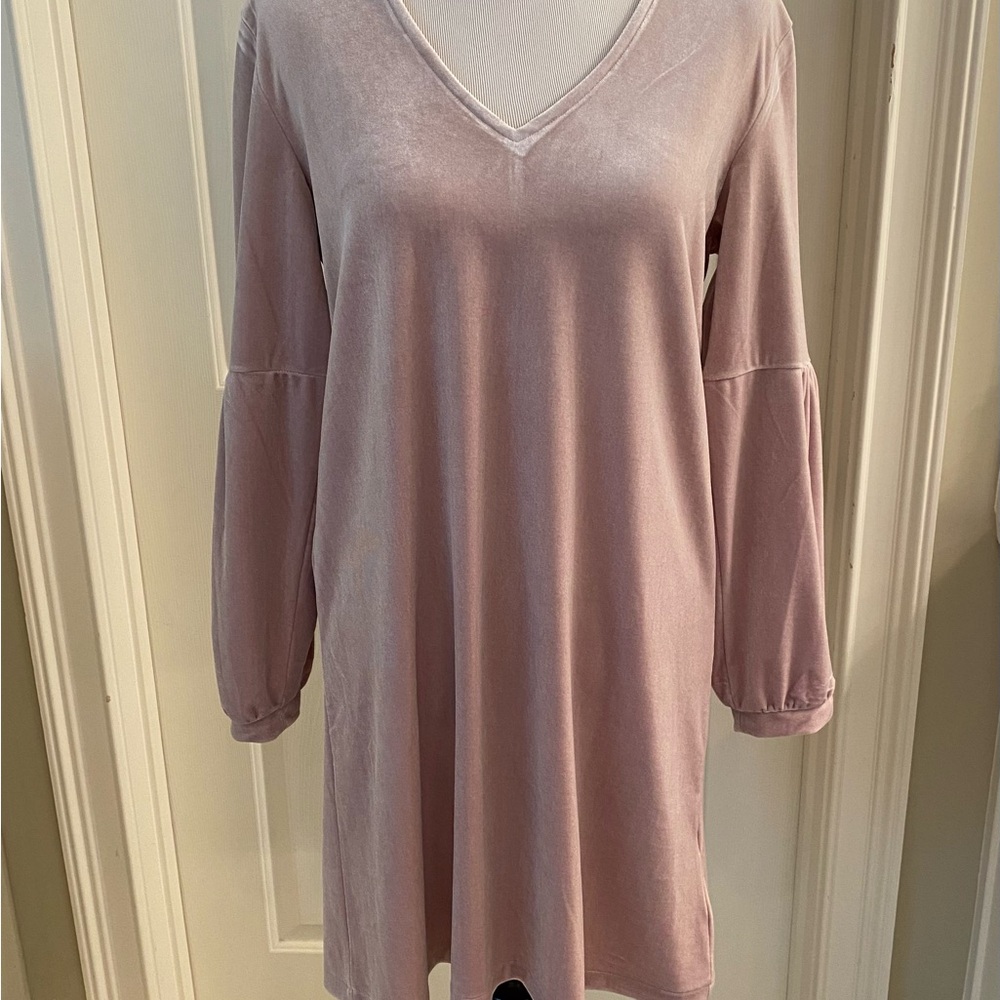 Madewell Blush Pink Garment